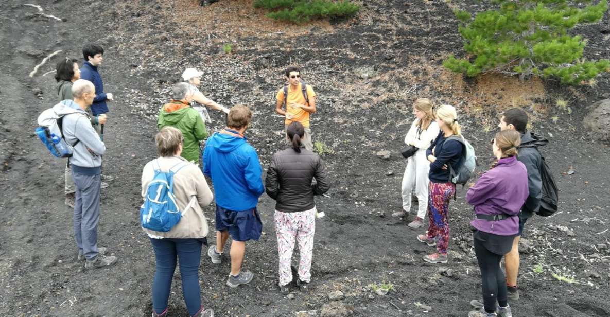 From Taormina: Full-Day Etna, Wine & Alcantara Canyons Tour - The 2,000-meter hike around extinct craters