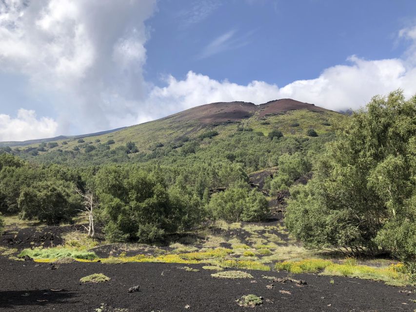 From Taormina: Full-Day Etna, Wine & Alcantara Canyons Tour - Alcantara Canyons: viewpoints, and what changes in winter