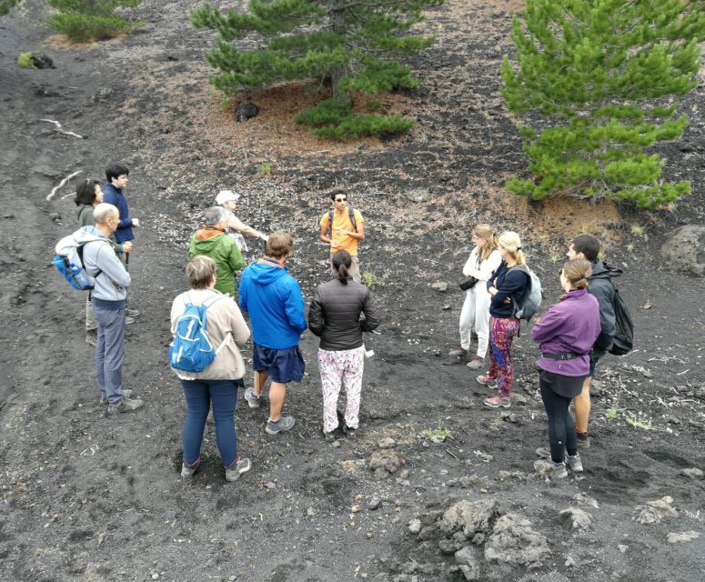 From Taormina: Full-Day Etna, Wine & Alcantara Canyons Tour - Pickup, van ride, and how the day stays organized