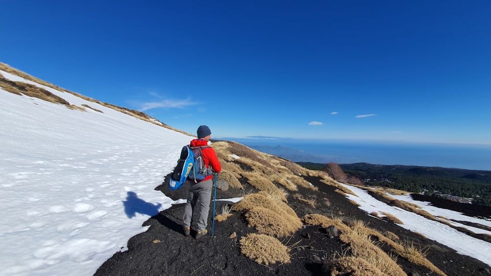 From Taormina: Guided Trip to Mt. Etna and Alcantara Gorges - Price and what $113.29 buys you (and what it doesn’t)