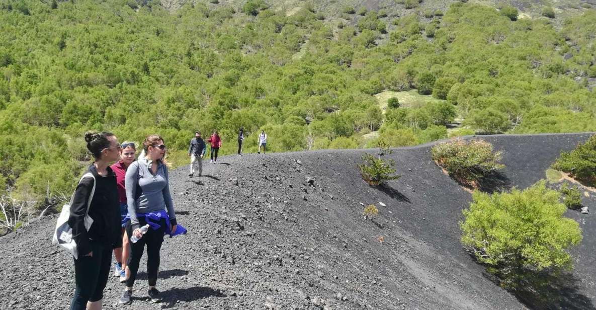 From Taormina: Half-Day Mount Etna Morning Trek - Key highlights worth knowing before you go