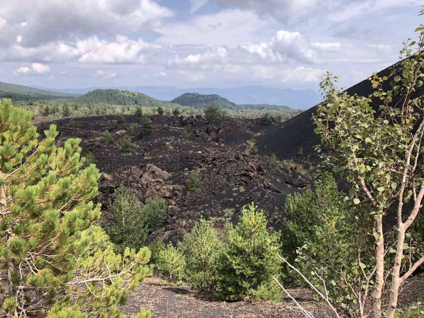 From Taormina: Half-Day Mount Etna Morning Trek - Why Etna’s extinct-crater rim hike beats a quick photo stop