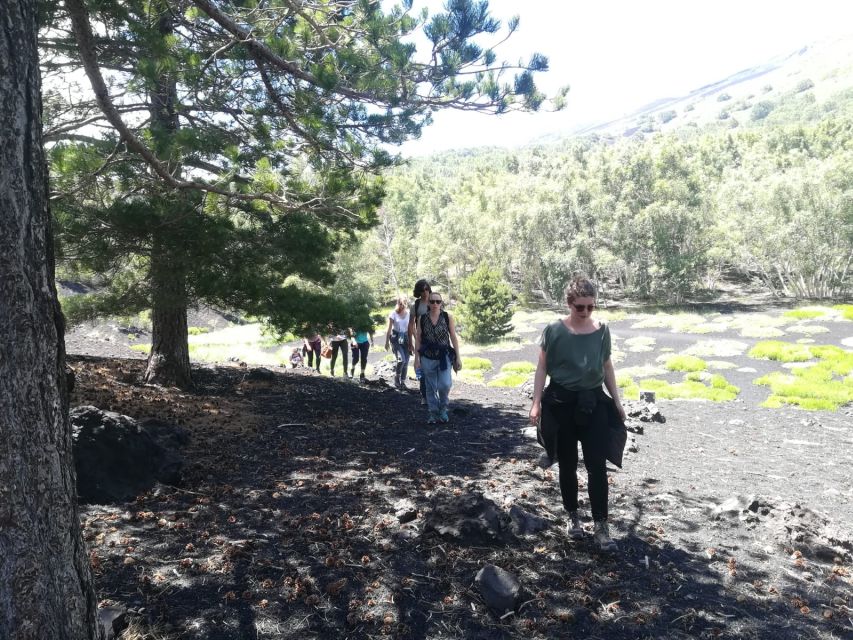 From Taormina: Half-Day Mount Etna Morning Trek - Price and value: why $106 can make sense here