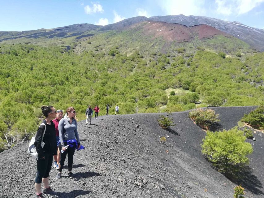 From Taormina: Half-Day Mount Etna Morning Trek - Who this Etna half-day suits best (and who should skip it)