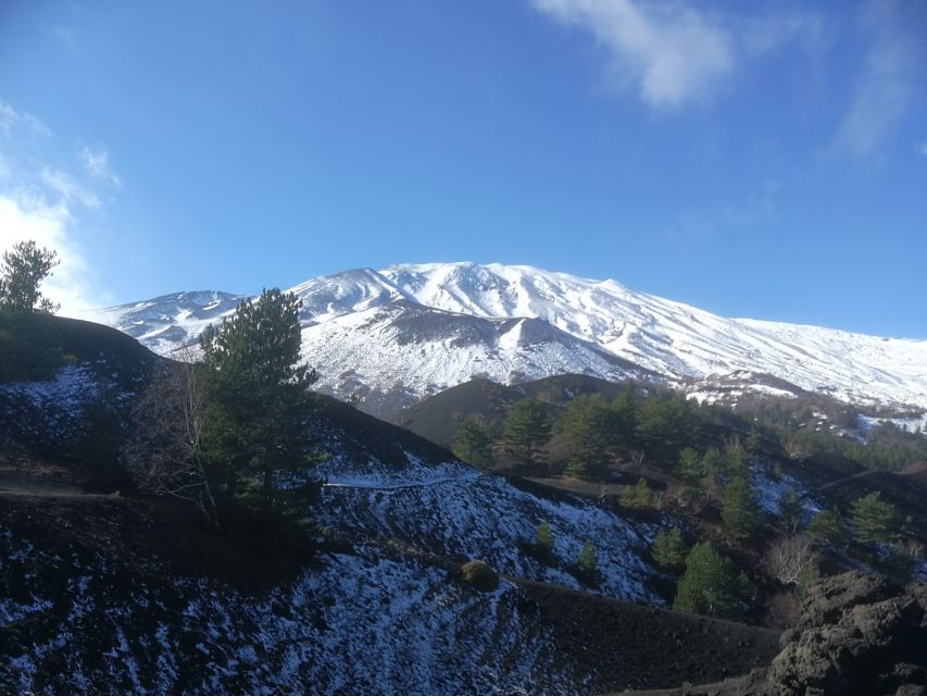 From Taormina: Half-Day Mount Etna Morning Trek - Should you book Mount Etna from Taormina?