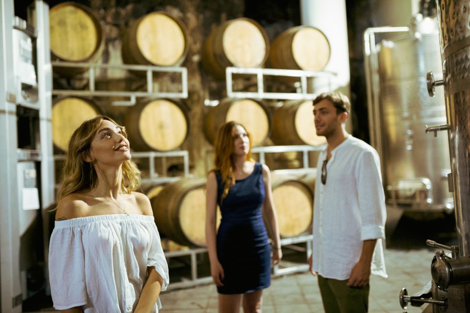 From Taormina: Mount Etna Food and Wine Tasting Tour - Limoncello Finish and Dropped-Off Convenience Back to Taormina