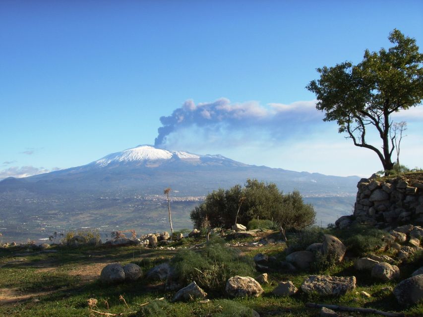 From Taormina: Mount Etna Guided Bus Tour - Chalet stop and lunch timing: plan meals, don’t count on them