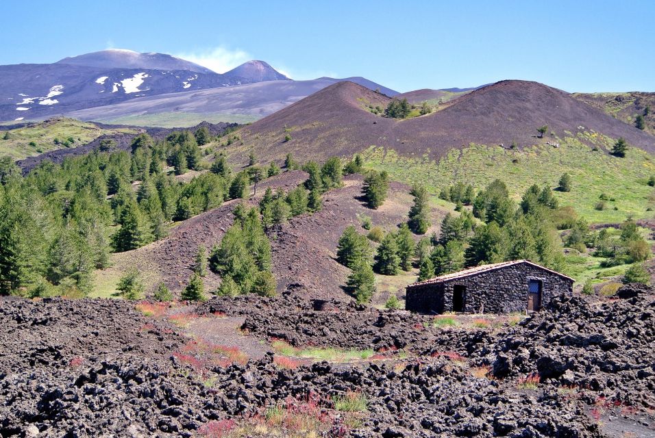 From Taormina: Mount Etna Guided Bus Tour - On the road with the guide: geology, history, and what to watch for