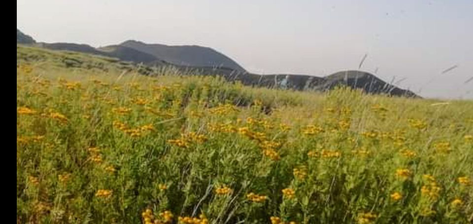 From Taormina, Naxos, & Letojanni: Mount Etna Half-Day Trip - Pickup Made Easy: Taormina, Naxos, Letojanni, or Mascali