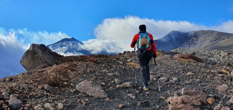 From Taormina or Catania: Private Full-Day Mount Etna Hike - Getting to Etna: Taormina vs Catania pickup