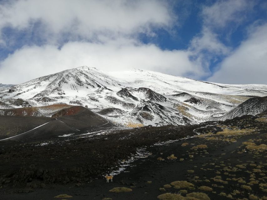 From Taormina or Catania: Private Full-Day Mount Etna Hike - The 7 km hike: extinct craters, lava flows, and trails with purpose