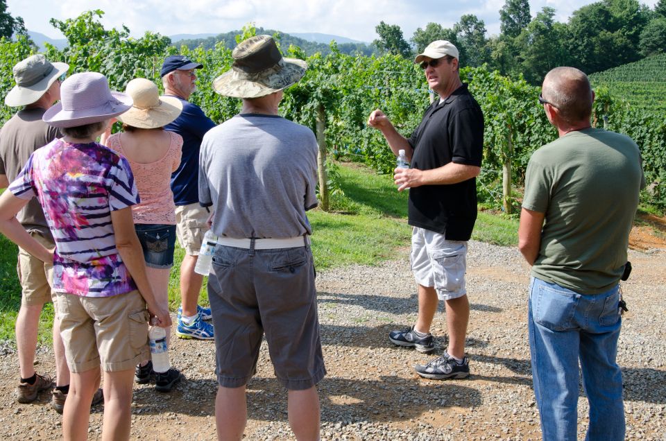 From Taormina: Private 3 Etna Wineries with Food & Wine - Why Etna wineries feel personal on this private route