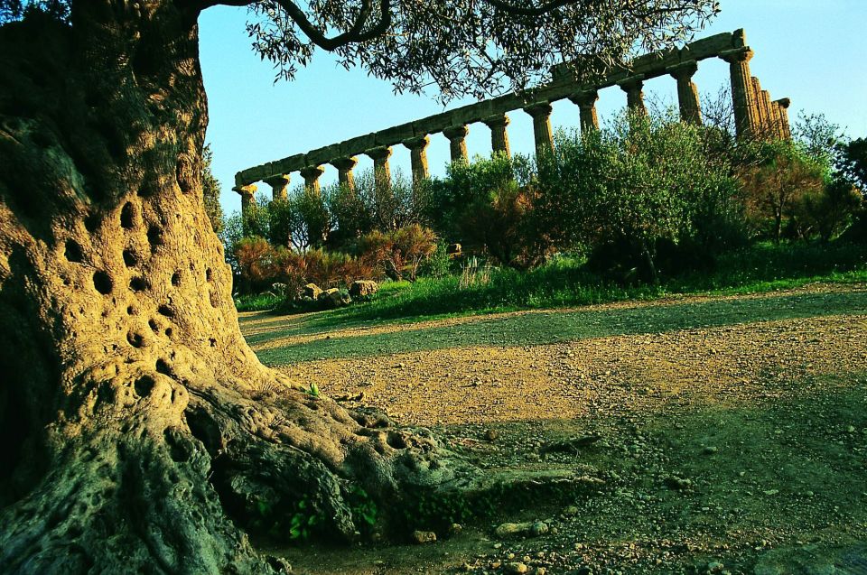 From Taormina: Valley of The Temples & Piazza Armerina Tour - Walking, heat, and what to pack for comfort