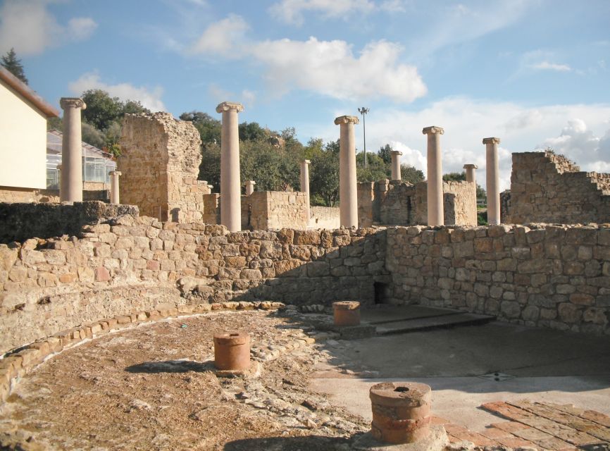 From Taormina: Valley of The Temples & Piazza Armerina Tour - Who this tour fits best (and who should skip it)