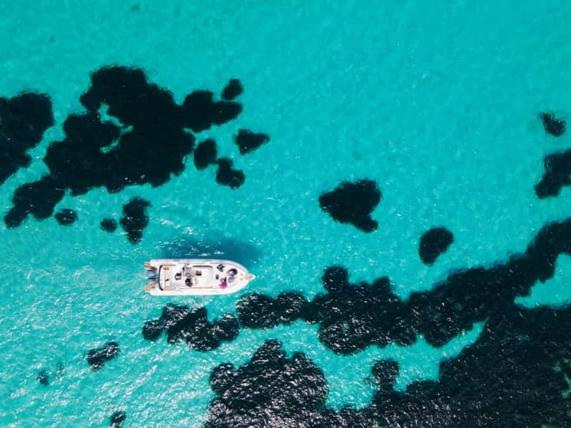 From Trapani: Egadi Islands Favignana & Levanzo Cruise - Key reasons this cruise feels worth it