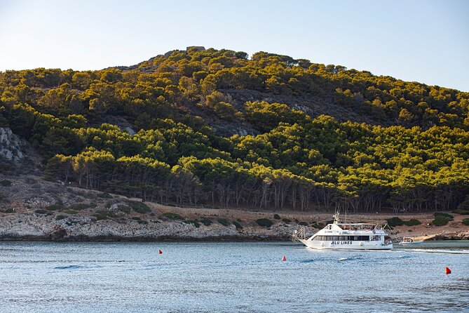 From Trapani: Egadi Islands tour with lunch on board - The Favignana coast boat track: coves and a planned swim stop