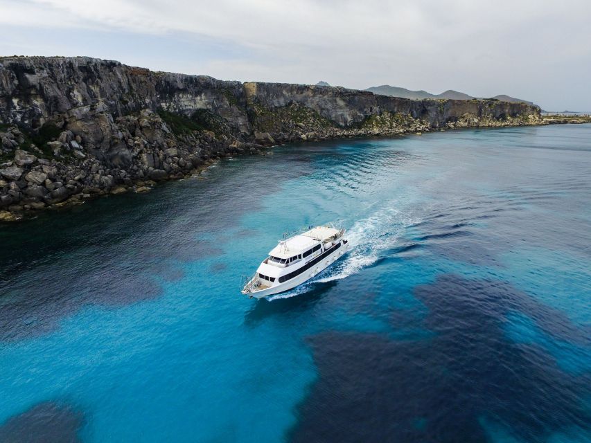 From Trapani: Favignana and Levanzo Motorboat Cruise - Cala Rossa and Cala Azzurra: Swim Where Sand Turns Colorful