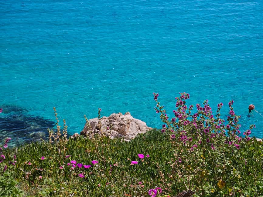 From Trapani: Favignana and Levanzo Shuttle Tour - How the Day Unfolds: Timed Stops That Keep You Moving