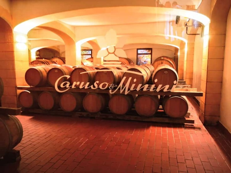 From Trapani: Salt Road Tour With Winery Visit and Boat Trip - Marsala on Foot: Snacks, Regional Food, and Landmark Insight