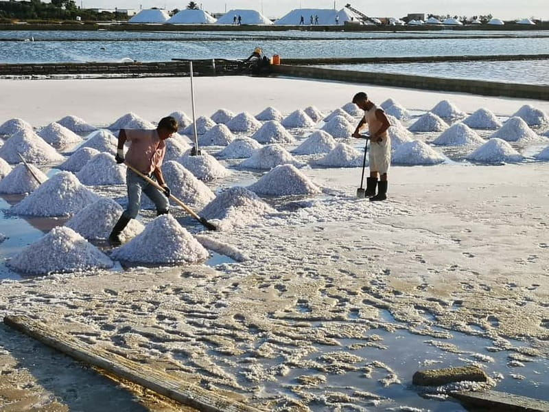 From Trapani: Salt Road Tour With Winery Visit and Boat Trip - Price and Value for a $169.93, 5-Hour Day