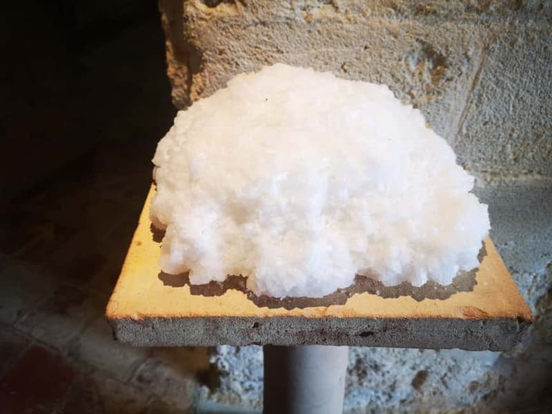 From Trapani: Salt Road Tour With Winery Visit and Boat Trip - Who This Tour Is Perfect For (and Who It Isn’t)