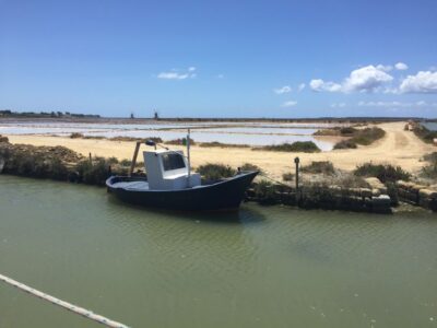 From Trapani: Stagnone Islands of Marsala and salt pans - From Trapani to Marsala: the 30-minute van that sets the tone