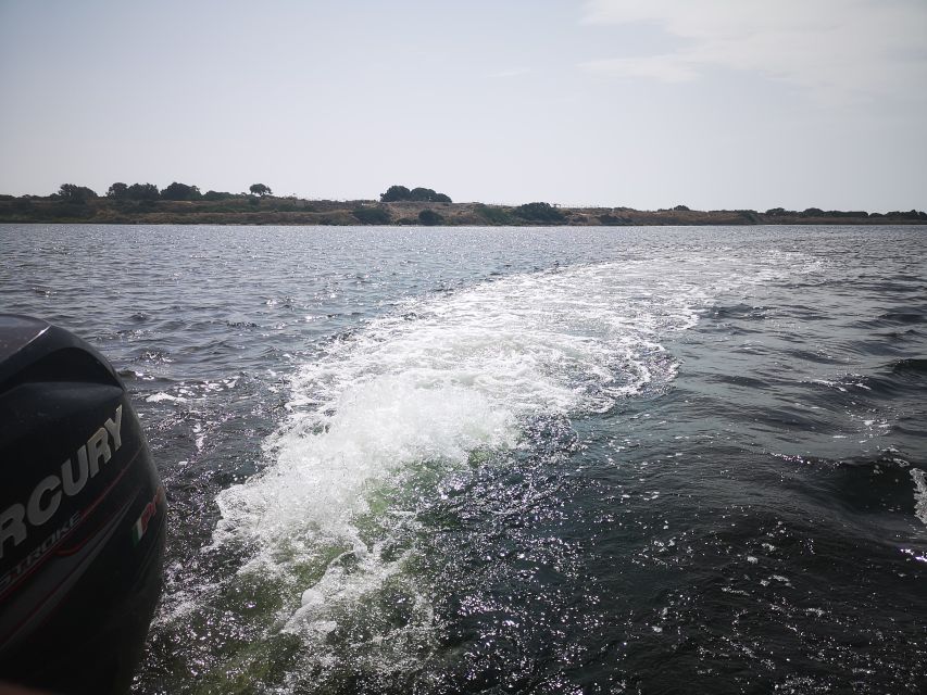 From Trapani: Stagnone Islands of Marsala and salt pans - Wildlife spotting in a working reserve