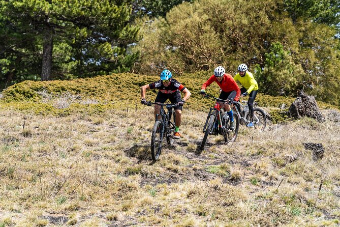 Full circuit of Etna by MTB small group - The E-Bike Setup: Comfort You’ll Actually Notice on Etna