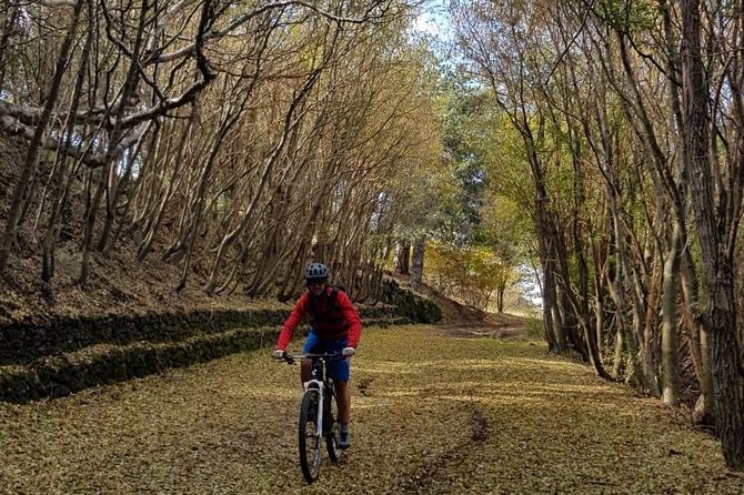 Full circuit of Etna by MTB small group - Start in Nicolosi: The Meeting Point and the Start-Time Rhythm