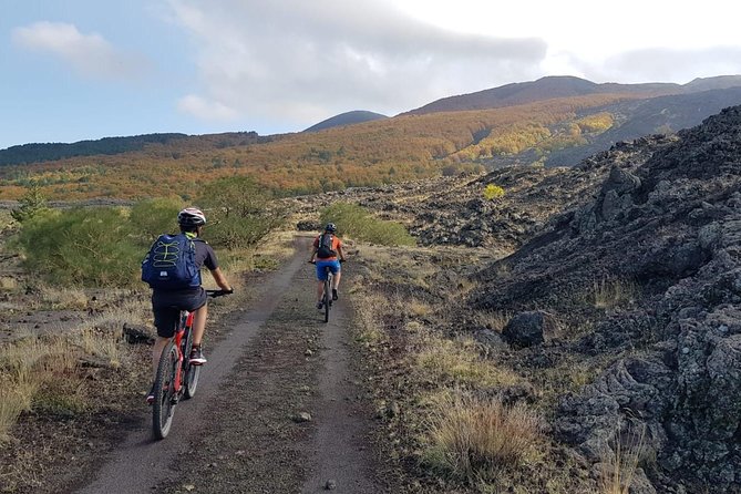 Full circuit of Etna by MTB small group - Stop 1: Mount Etna Views at the Highest-Peak Scale