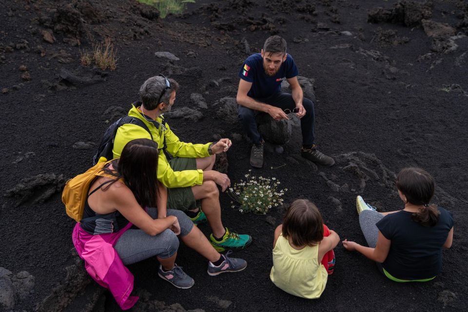 Full-Day Etna and Wine Tour from Catania - Who should book this Etna and wine tour?
