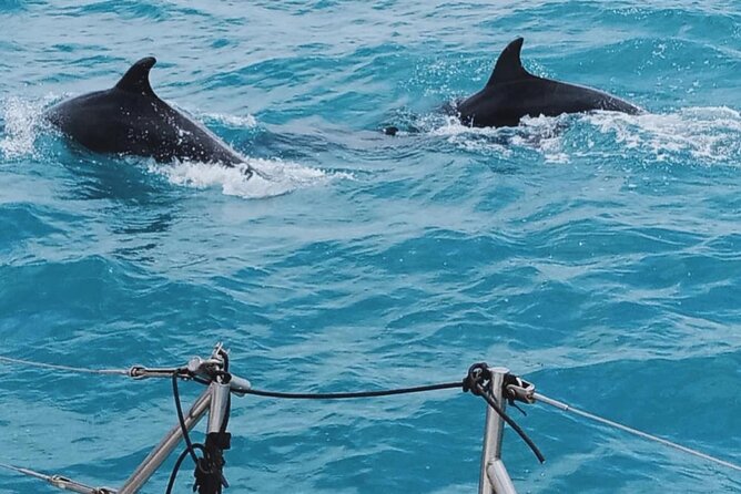 Full Day Sailing Tour Catania-Acitrezza - Price and Value: What You’re Actually Paying For