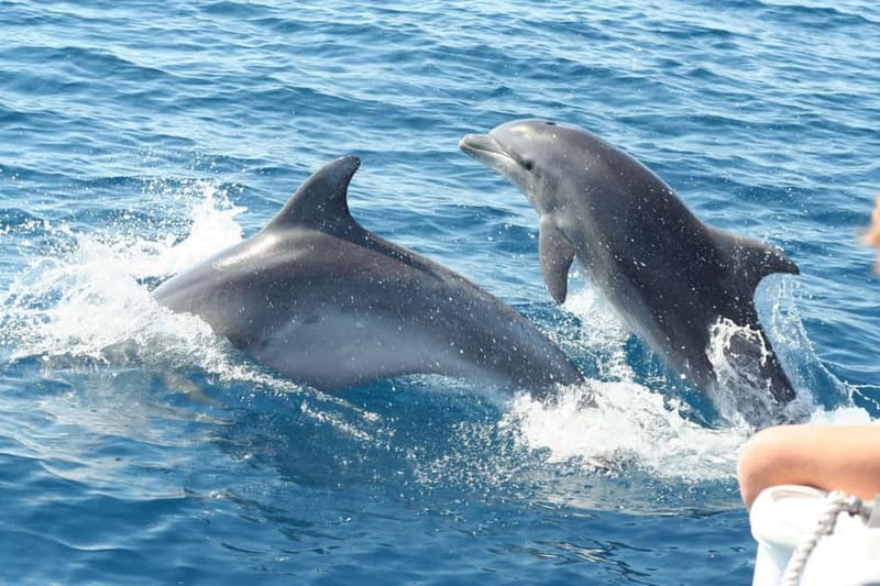 Giardini Naxos: Dolphin Catamaran Sunset Tour with Aperetif - From Giardini Naxos to Taormina by Sunset: Why This Works