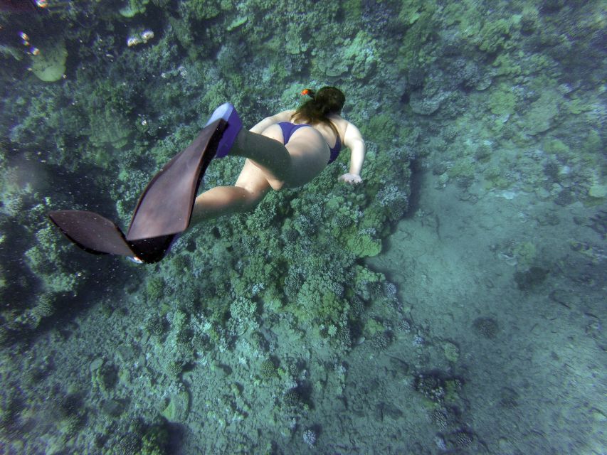 Giardini Naxos: Isola Bella Marine Park Snorkeling Cruise - Boat time: views of Sicily and why the surface moments matter