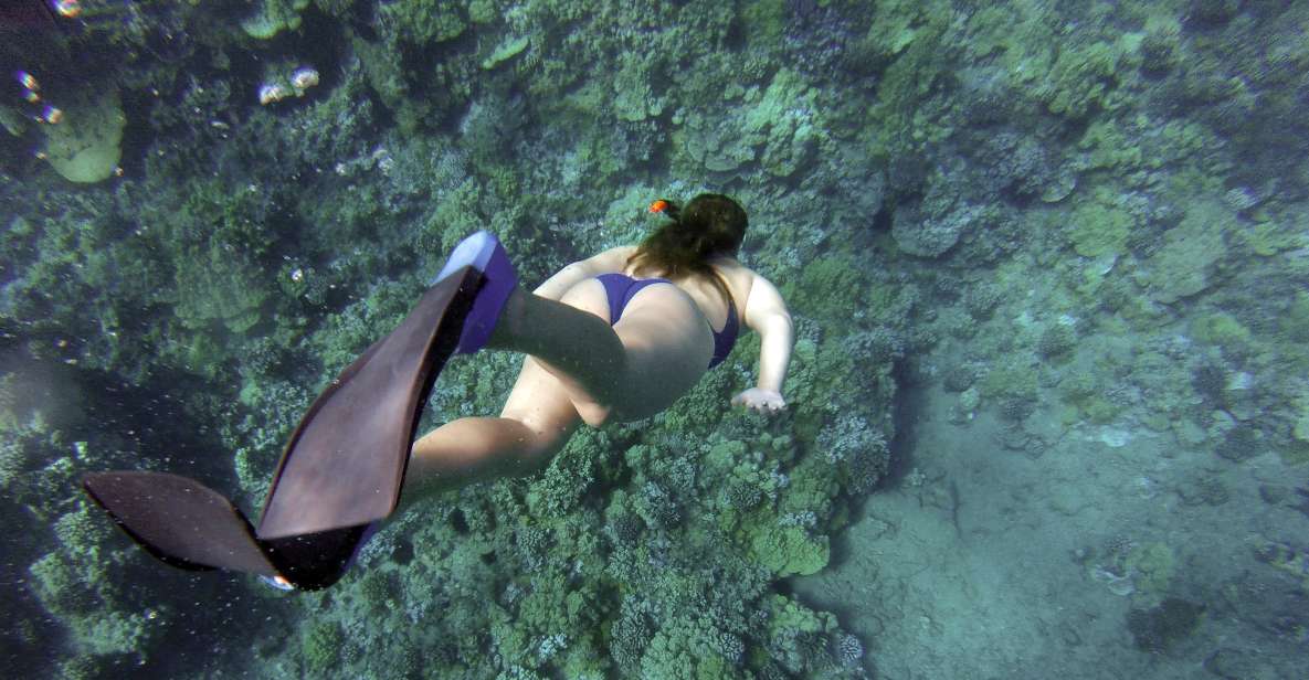 Giardini Naxos: Isola Bella Marine Park Snorkeling Cruise - Getting started: where to meet and what that means for logistics