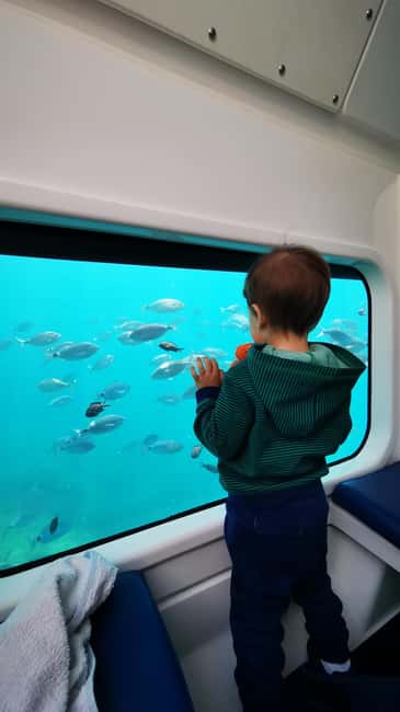 Giardini Naxos: Semi-Submarine Tour to Isola Bella - Bay of Sirens and possible dolphins on the way back