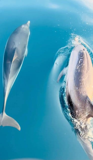 Giardini Naxos: Sunset Dolphin Watching Cruise with Aperitif - Setting sail from Giardini Naxos, aiming at Taormina