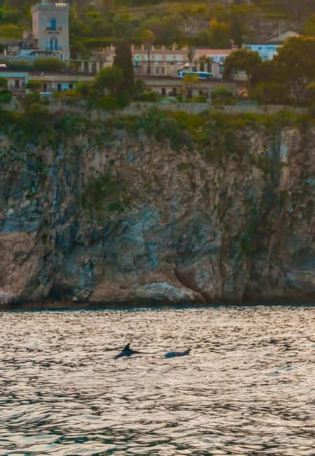 Giardini Naxos Taormina: Dolphin Watching Sunset Tour - Isola Bella and Taormina from the water: the view you came for