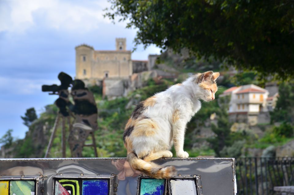 GODFATHER TOUR film's locations departure from Taormina area - Price and value: why $59 can be worth it (or not) depending on your priorities
