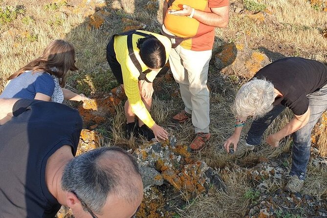 Guided Geological Excursion to Ustica - Meeting point and timing: what to plan for