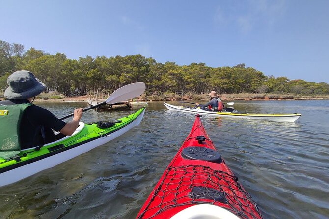 Guided kayak tour inside the Stagnone of Marsala - Stagnone of Marsala kayaking: what makes it special