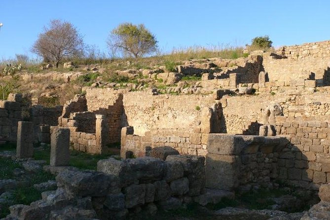 Guided Tour in Morgantina. Visit Morgantina. - Who Should Book This Guided Morgantina Visit