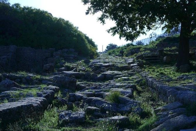 Guided Tour in Morgantina. Visit Morgantina. - Should You Book This Tour?