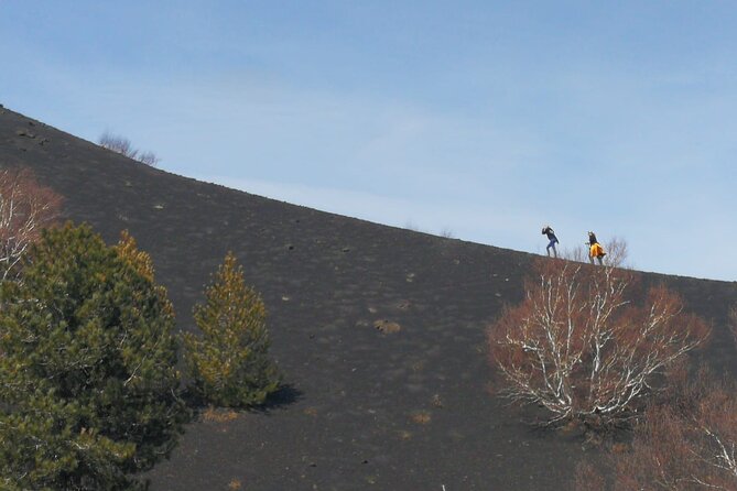 Guided Trekking on Etna and Visit of the Snow Cave - The snow cave: the weird-and-wonderful twist