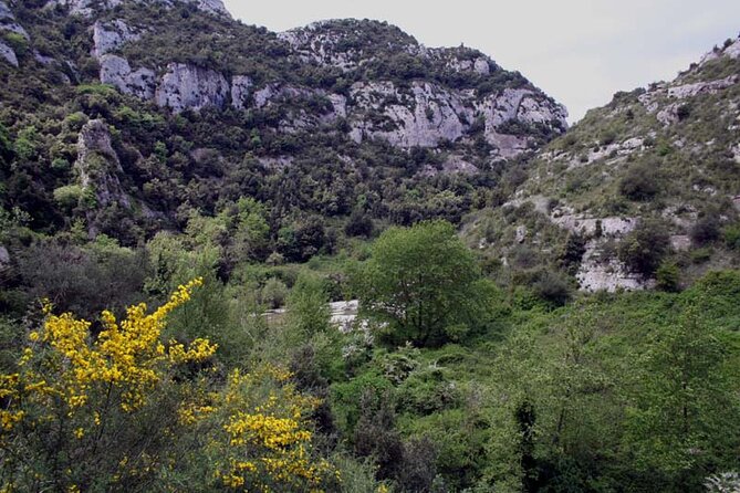 Guided Trekking to Cavagrande del Cassibile in Sicily - Price and value: what $65.35 gets you (and what you’ll likely add)