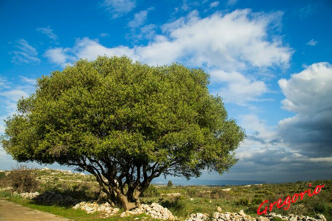 Guided Trekking to Cavagrande del Cassibile in Sicily - Timing, weather, and refunds: plan for flexibility
