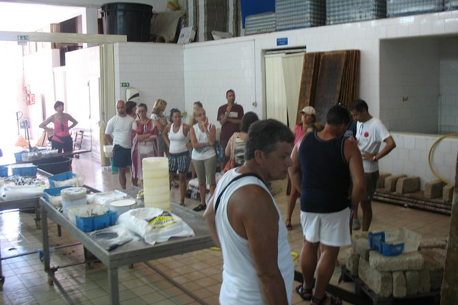 HALF DAY excursion - Marzamemi and Capo Passero by Boat - Key highlights to know before you go