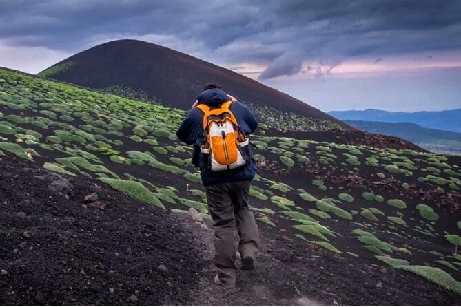 Half Day Guided Tour in Mount Etna (3000 meters) - What You’ll See at the Summit: Steam, Degassing, and the Sound of Activity
