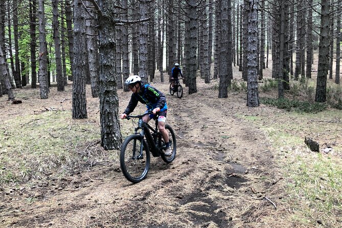 Half Day Tour to discover Etna by E-Mtb - Beech forests and the Timpa Rossa refuge break