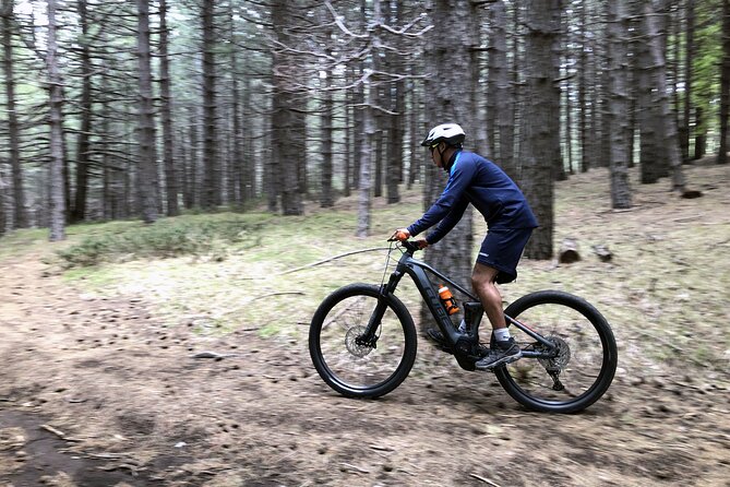 Half Day Tour to discover Etna by E-Mtb - The return ride on dirt roads through the woods
